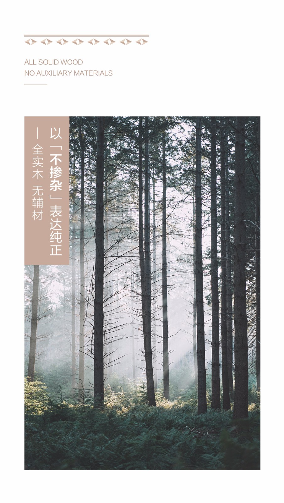非凡国际胡氏 | 奔赴全新的期盼，，，，，，就由「品致」最先 - 非凡国际